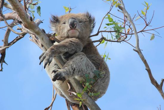 gerade aufgewacht!  zuckersüß!