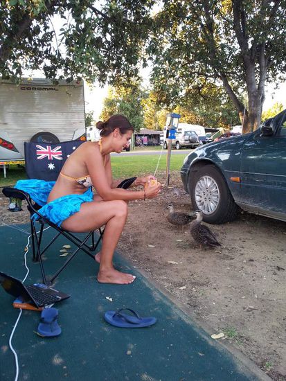 die fressen einem noch aus der Hand...