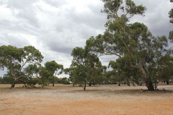 weit und breit: Nichts!