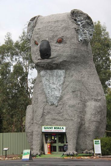 Giant Koala, on the road