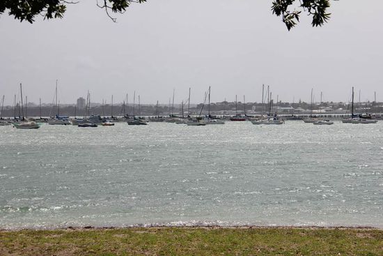 auf dem Tamaki Drive, ein Hafen