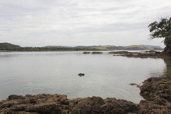 Kerikeri Inlet