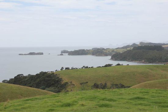 ... schöne Aussicht!