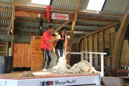 und ein Wollknäuel für mich!