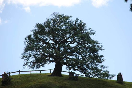 Der "Oak Tree", ein "Fake Tree"