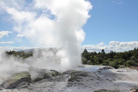 schade das man die Gerüche nicht wieder geben kann... so schön es auch aussieht, es riecht echt nicht schön!