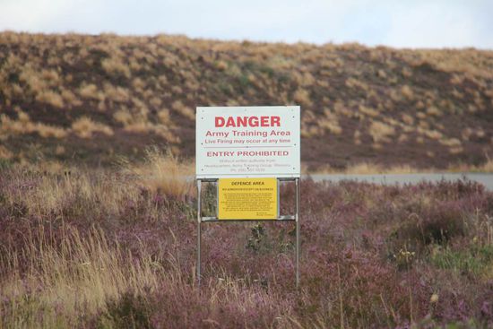 vielleicht nicht der beste Platz zum Wildcampen!?