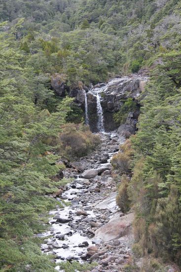 on the way to the top