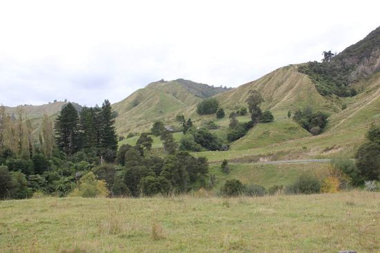 noch mehr Berge und Bäume
