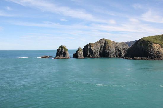 Fährtfahrt Wellington nach Picton