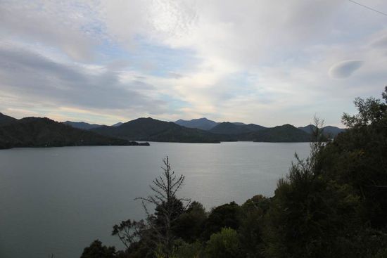 Marlborough Sound, vom Queen Charlotte Drive