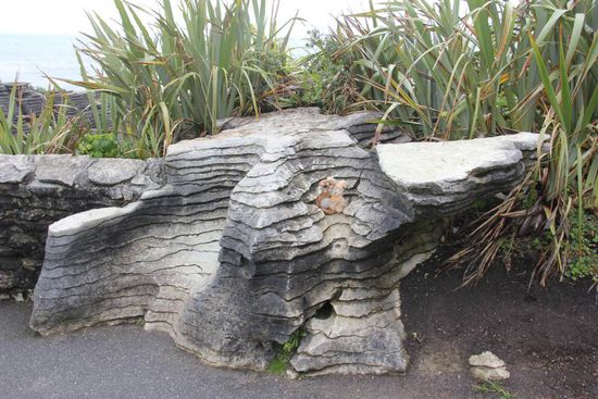 Pancake Rock mit Hermann &amp; Trude