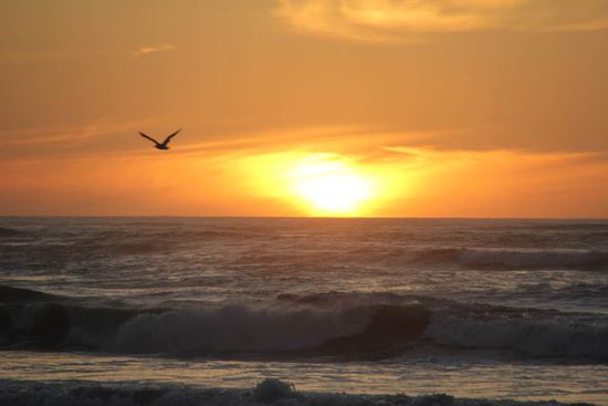 und wird immer schöner...