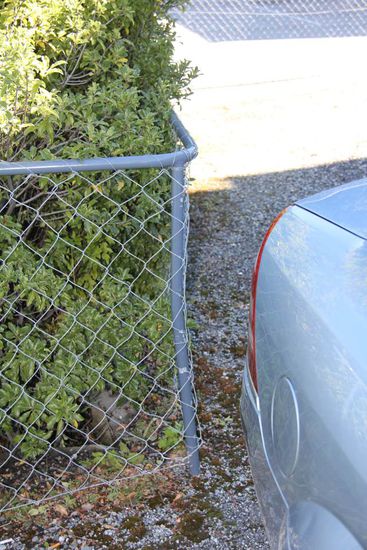 unsere Markierung... Die Stange war mal gerade, vor dem Kontakt von Marc! 