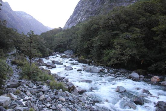 Ein Bach auf dem Rückweg
