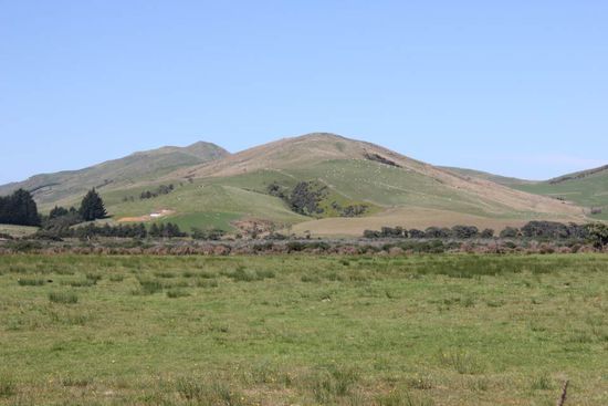 Die weißen Punkte sind Schafe! 