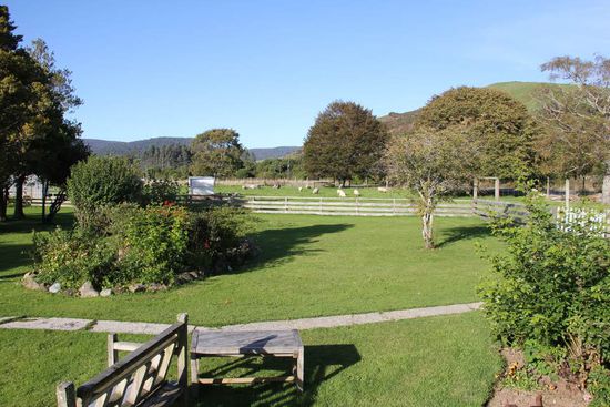 Der Garten des Cafes, mit Schafen, einem Lama und einer Kuh - glaube ich