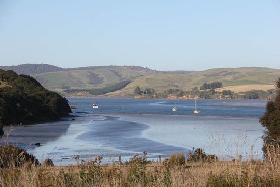 auf dem Weg zum Curio Bay...