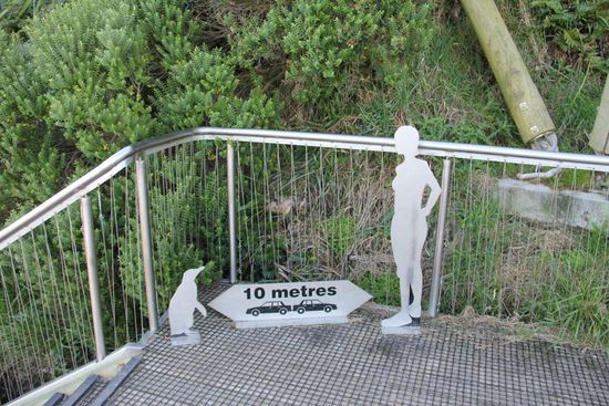 gilt nur für den Menschen! 