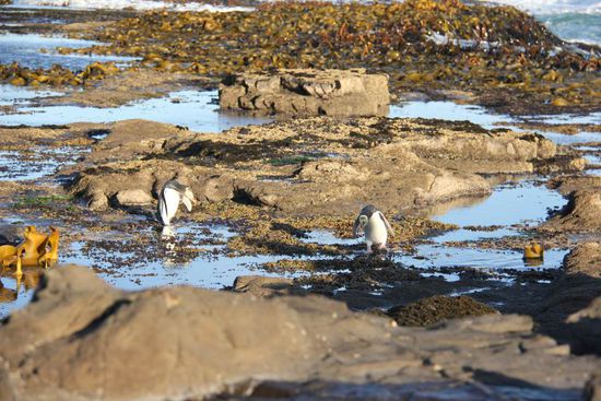 und dann geht es zu zweit weiter! 