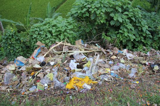 die entsorgen hier anders als bei uns...  