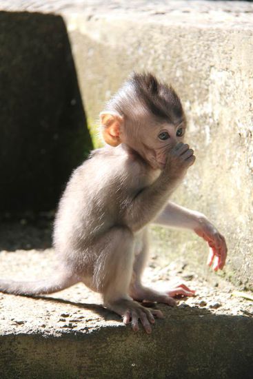 weg ist der Daumen...