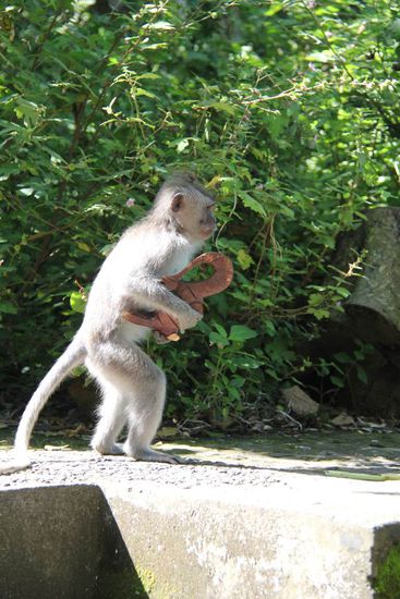 da hat er ja was tolles "erbeutet" 