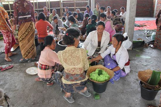 das grüne ist Reis...