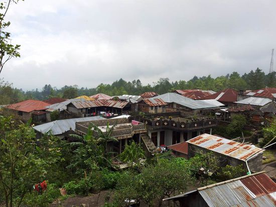 die andere Seite der Medaille...