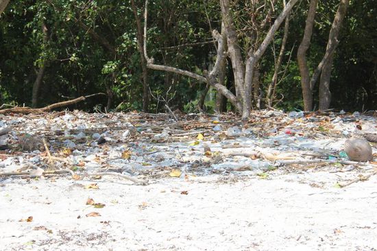 Müll wohin man sieht... vor allem Plastik!