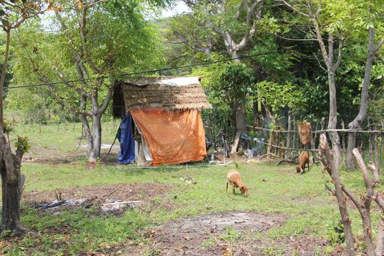 Das nenn ich mal bescheidenes Heim...