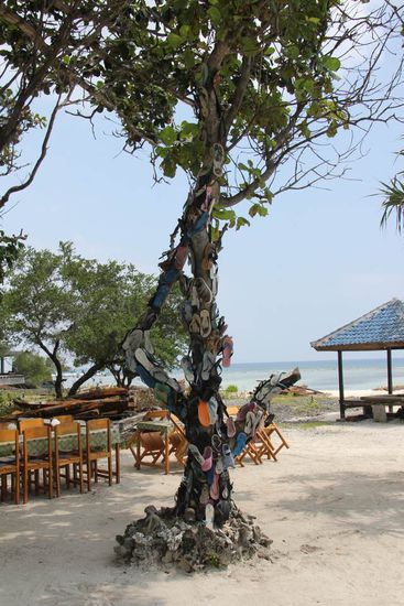 eine Sammlung angespülter Flip Flops...