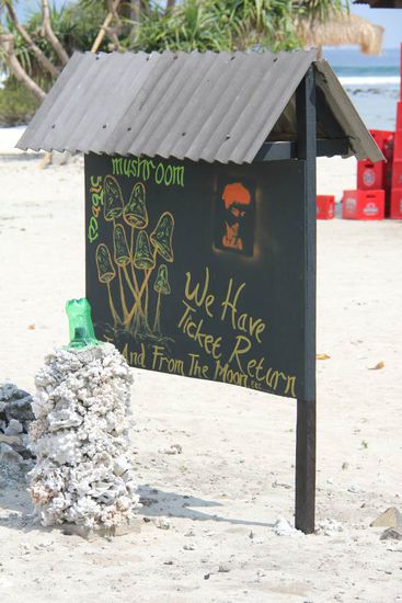 Return Ticket to the moon!