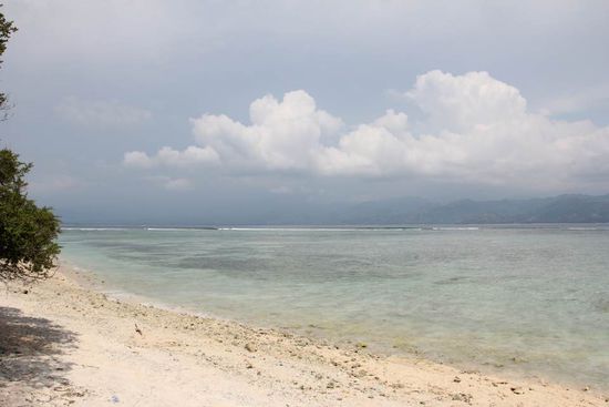 viele Strände haben sie hier ja...