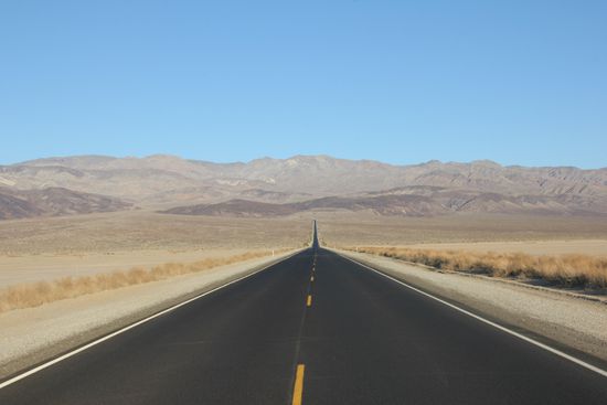 ganz allein auf weiter Flur