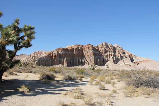 Red Cliffs im Red Rock Canyon State Park