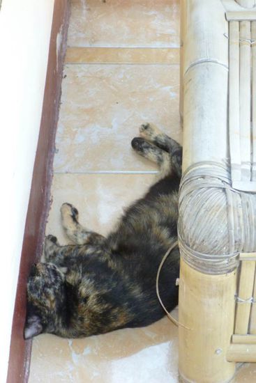 ging ihr wohl genau wie mir! 