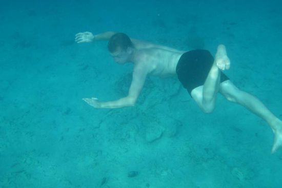 ein großer Fisch...