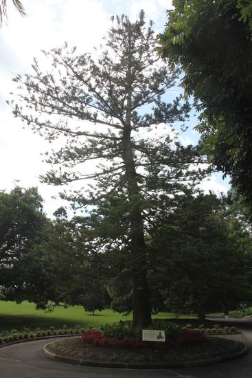 und wehe das geht nicht in Erfüllung! 