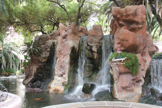 unsere Teichanlage mit recht großen Kois, da sieht man wo das Geld bleibt 