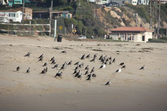 warten auf die "Vorkoster"