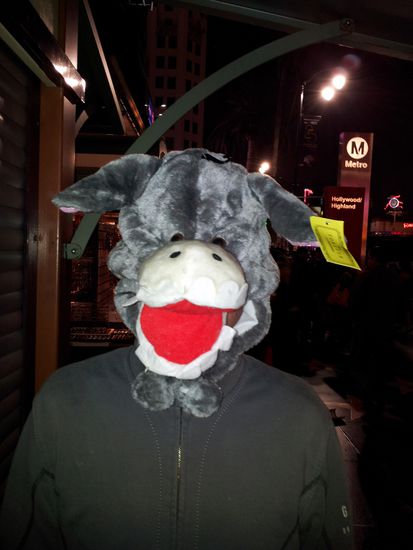 Marci, unschwer zu erkennen! Die gleichen Ohren! 