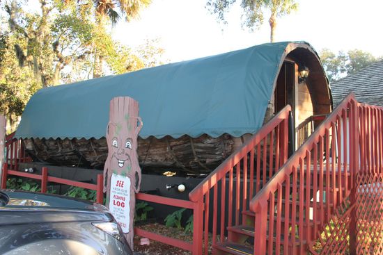 Das "Baumstammhaus". 10,06m lang und 2,44m hoch