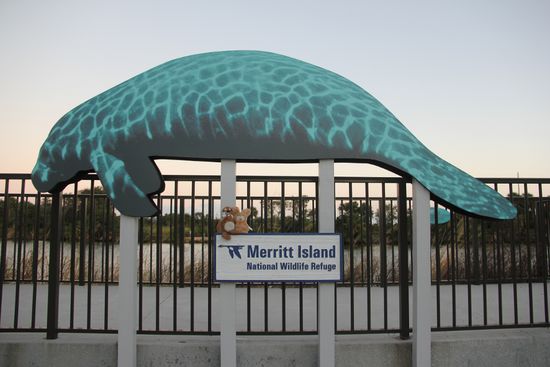 Manatee Aussichtpunkt