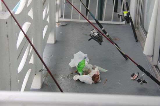 Der Nachbarbalkon...