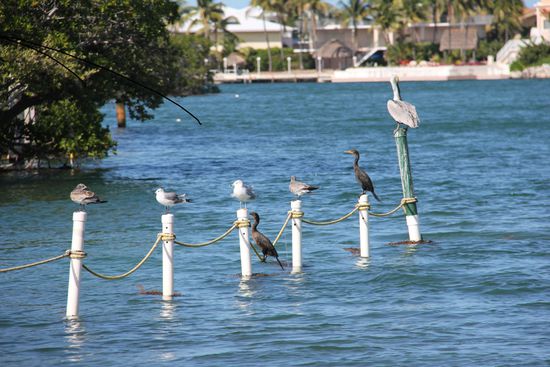 Hier wird auch in 2.Reihe Platz genommen.