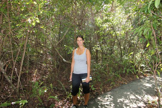 Auf dem Gumbo Limbo Trail, vor der ersten Moskito Attacke