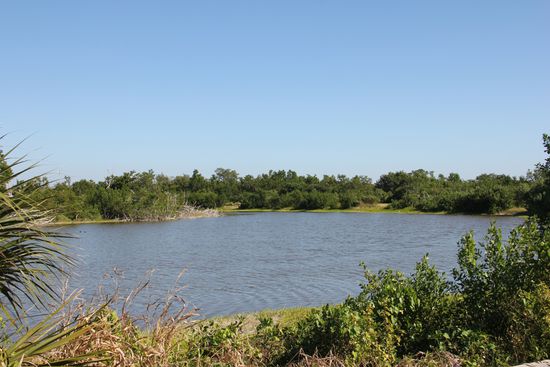 Der Eco Pond, ein Teich zum drum herum laufen