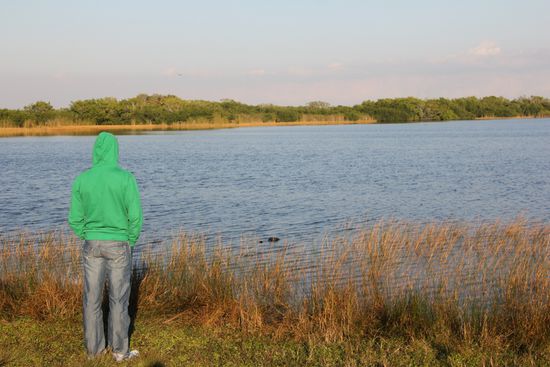 Der kleine Mann und das Krokodil...