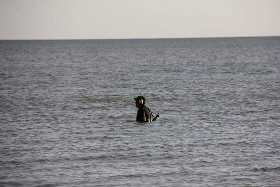 hier sind die Profis am Werk...